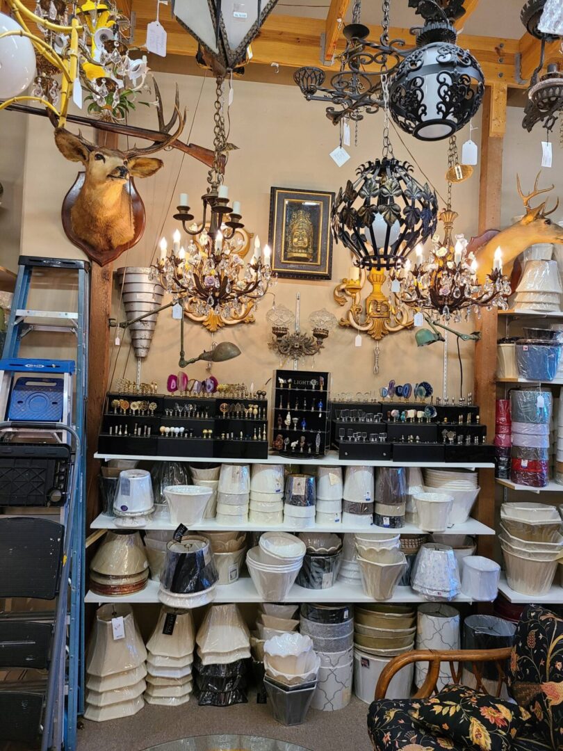 Ornate chandeliers and deer mount above lampshades