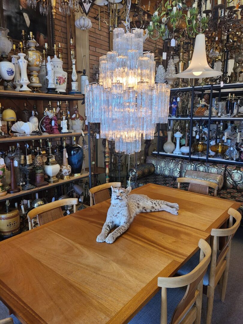 Shelves of vintage lamp bases and ceramics